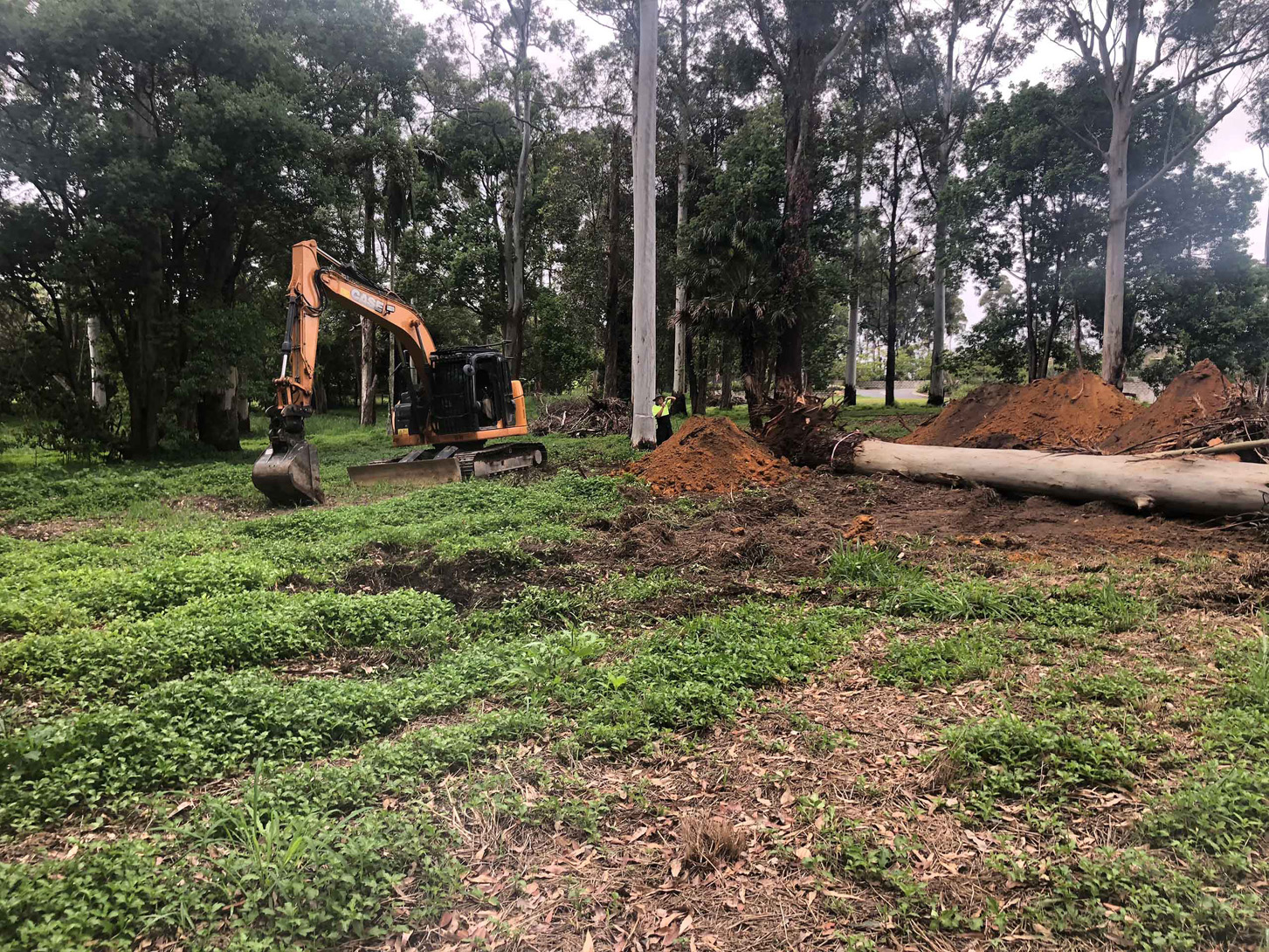 Tree removal - Land clearing